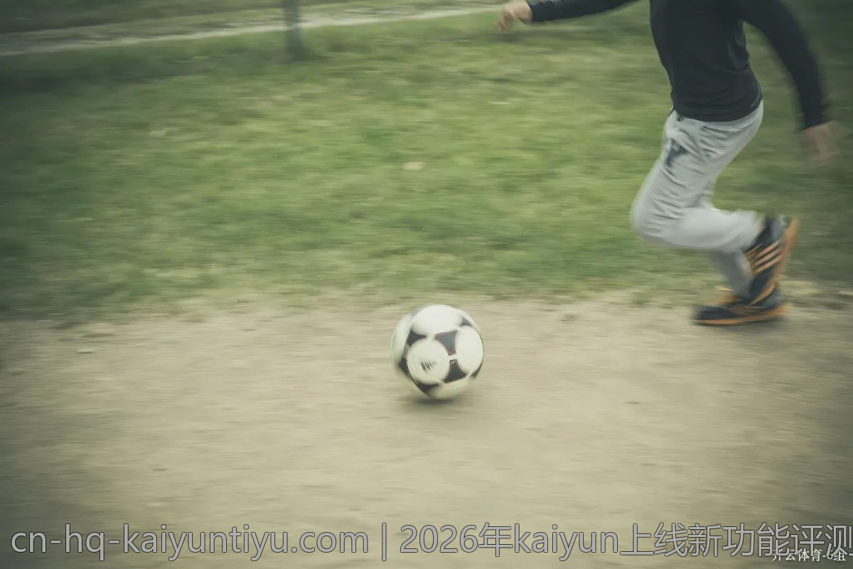 2026年kaiyun上线新功能评测：用户反馈如何？